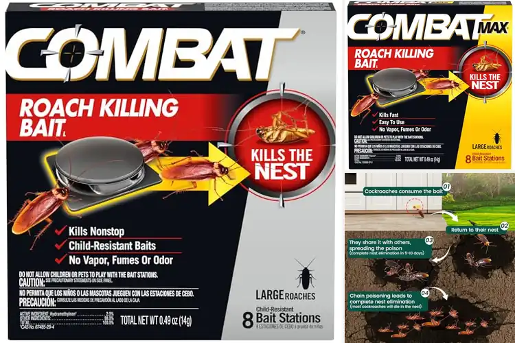 Detailed view of Best Nest Elimination Roach Bait