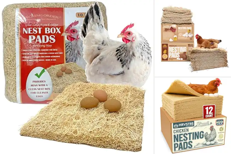 Detailed view of Best Nesting Pads For Hens: Cleaner Eggs, Happier Birds