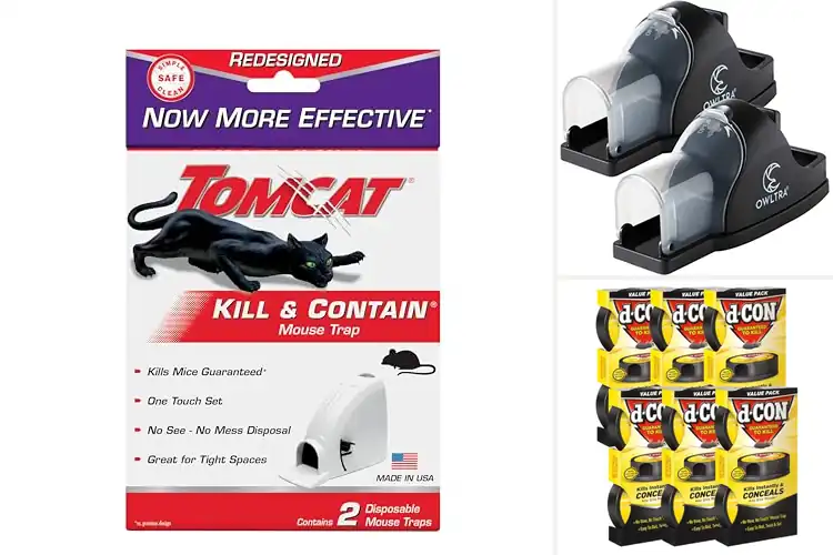 Detailed view of Best No Mess Mouse Traps