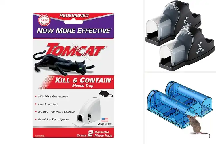 Detailed view of Best No Mess Rodent Traps: Clean, Quick & Easy Solutions