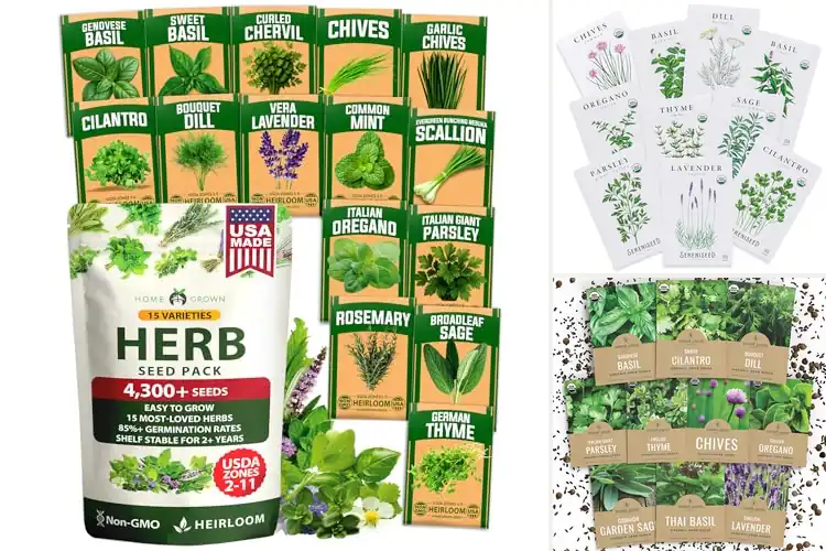 Detailed view of Best Non-GMO Herb Seeds: 10 Top Picks for a Healthy Garden