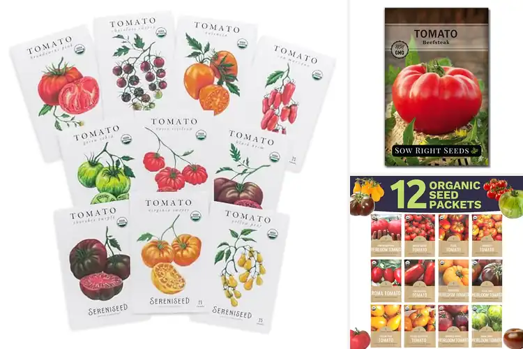 Detailed view of Best Non-GMO Tomato Seeds