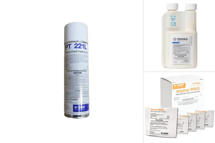 Detailed view of Best Non-Repellent Insecticides for Stealth Pest Control