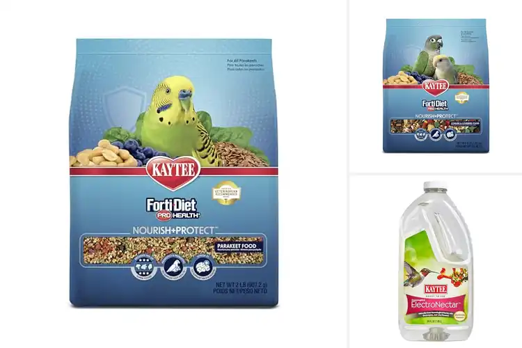 Detailed view of Best Nourishing Bird Foods