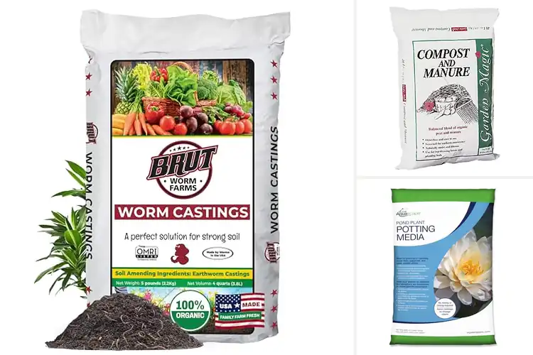 Detailed view of Best Nutrient-Rich Soils: Top 10 Picks for Thriving Plants