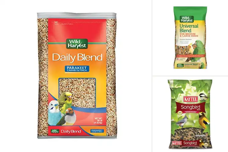 Detailed view of Best Nutritious Bird Seed Blend