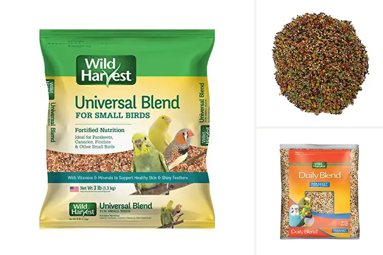 Detailed view of Best Nutritious Bird Seeds