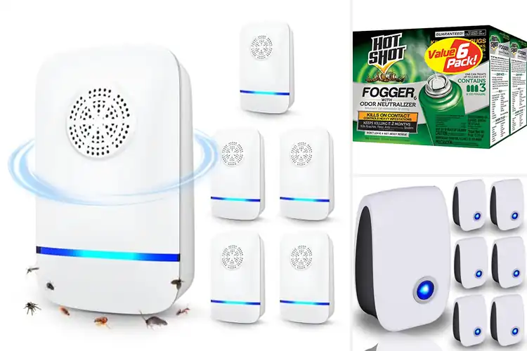 Detailed view of Best Odorless Pest Controls