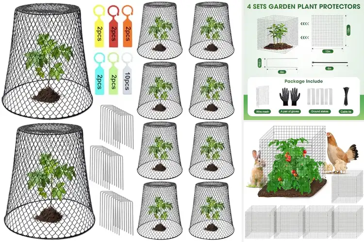Detailed view of Best Organic Garden Protectors