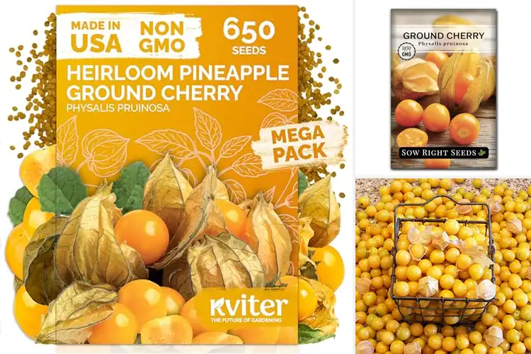 Detailed view of Best Organic Ground Cherry Seeds