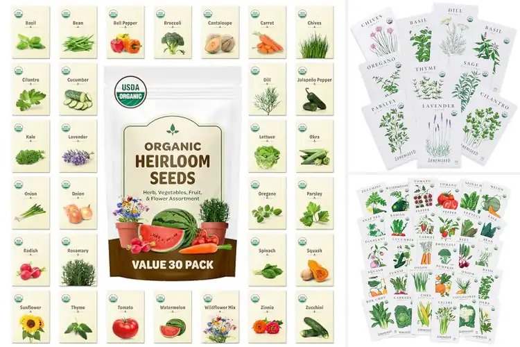 Detailed view of Best Organic Seeds for Pure, Thriving Growth