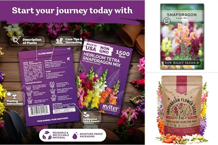 Detailed view of Best Organic Snapdragon Seeds