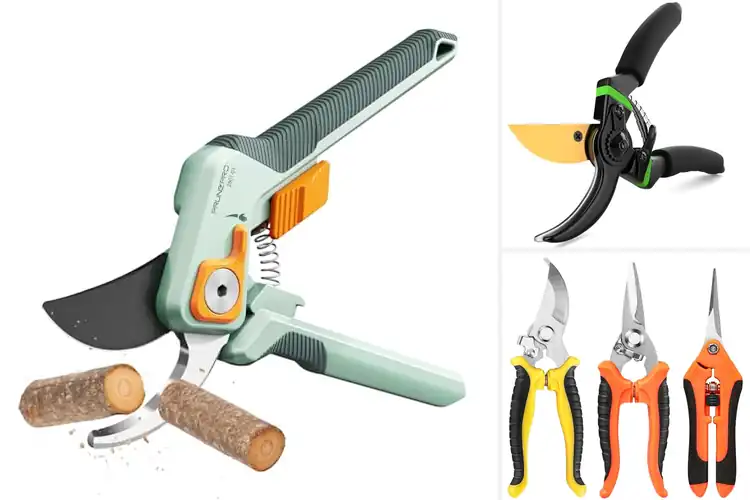Detailed view of Best Outdoor Cutting Shears