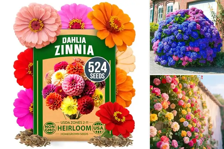 Detailed view of Best Outdoor Garden Plants: Brighten Your Space