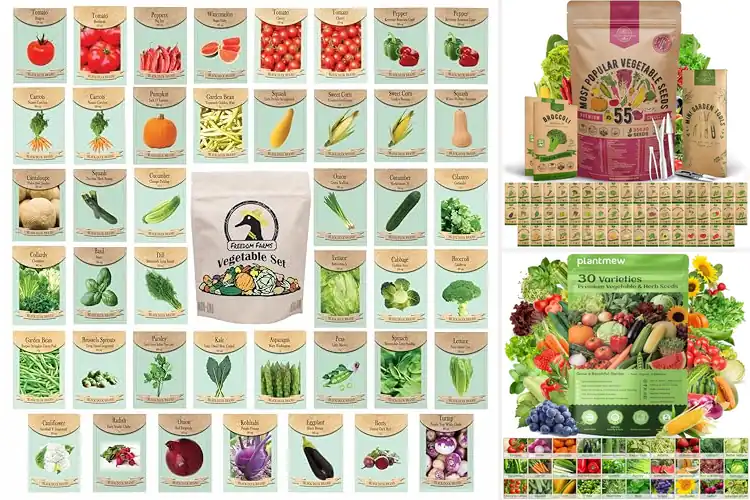 Detailed view of Best Outdoor Garden Seeds