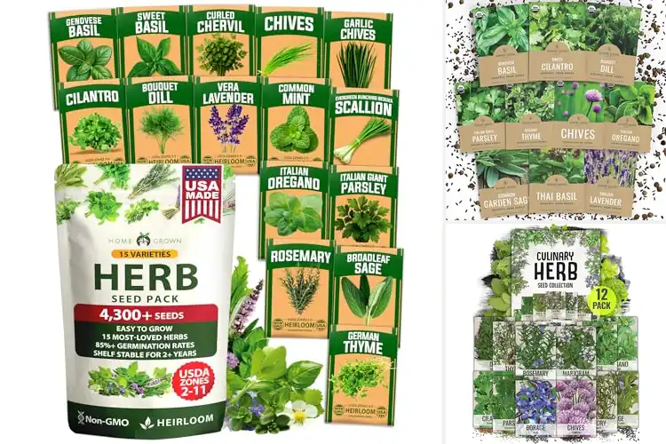 Detailed view of Best Outdoor Herb Seeds