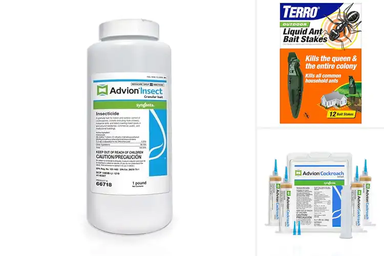 Detailed view of Best Outdoor Pest Baits for a Cleaner, Safer Yard