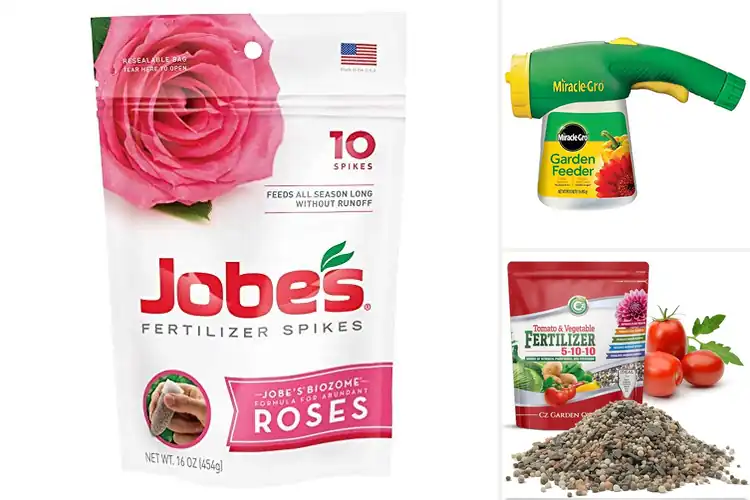 Detailed view of Best Outdoor Plant Fertilizer For Roses And Vegetables