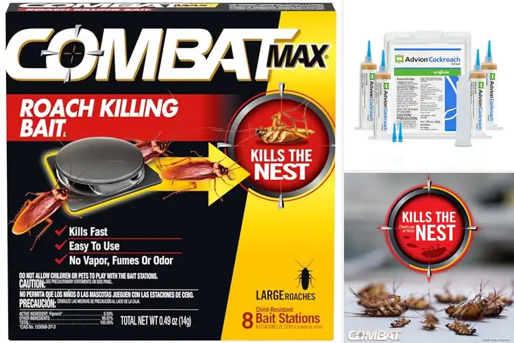 Detailed view of Best Outdoor Roach Baits: Top Choices for a Pest-Free Yard