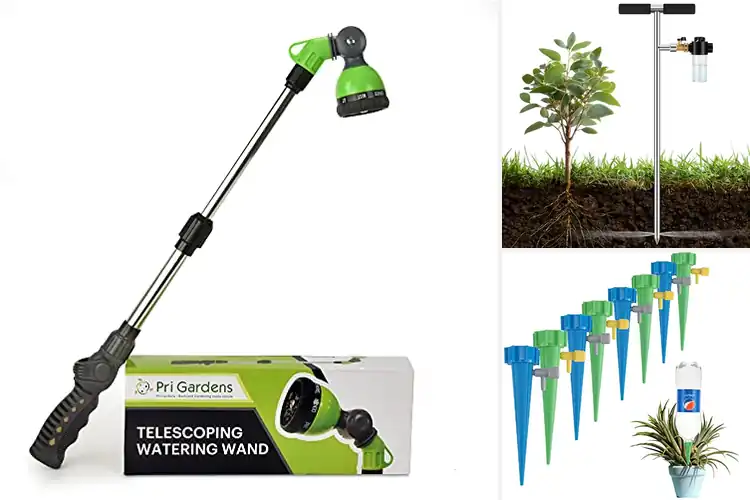 Detailed view of Best Outdoor Watering Tools