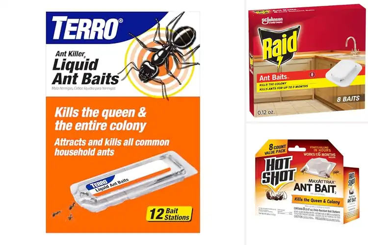 Detailed view of Best Pantry Ant Traps for a Calm, Pest‑Free Kitchen