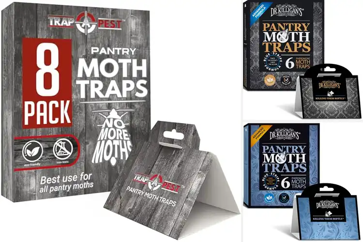 Detailed view of Best Pantry Moth Traps for a Cleaner, Safer Kitchen
