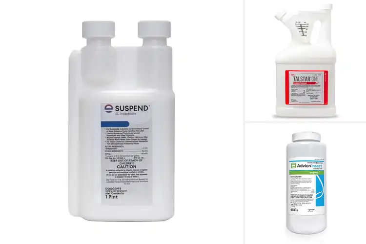 Detailed view of Best Perimeter Pest Controls