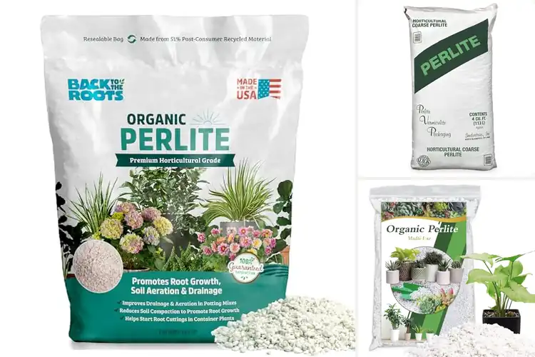 Detailed view of Best Perlite for Gardening: Grow Lush Plants