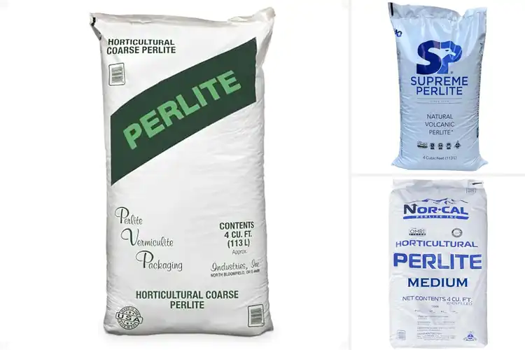 Detailed view of Best Perlite for Hydroponics