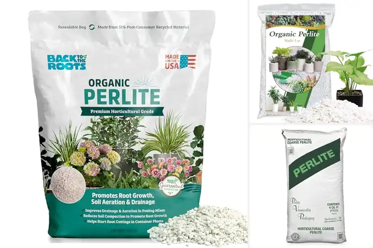 Detailed view of Best Perlite for Plants: Top 10 Picks for Thriving Gardens