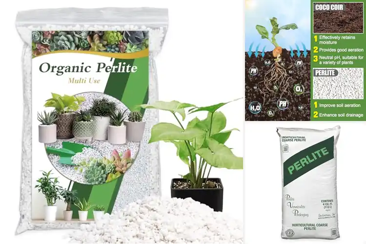 Detailed view of Best Perlite for Potting Mixes