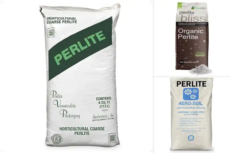 Detailed view of Best Perlite Soil Amendments: 10 Garden Boosters