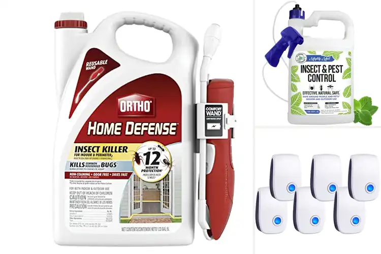 Detailed view of Best Pest Control Products