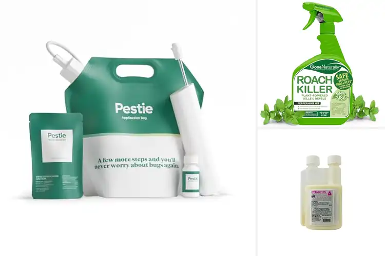 Detailed view of Best Pest Control Solutions: Your Guide to a Pest-Free Home