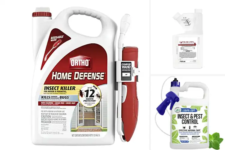 Detailed view of Best Pest Control Sprays