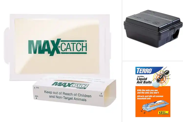 Detailed view of Best Pest Control Traps