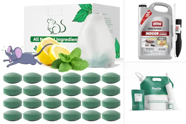 Detailed view of Best Pest Controls