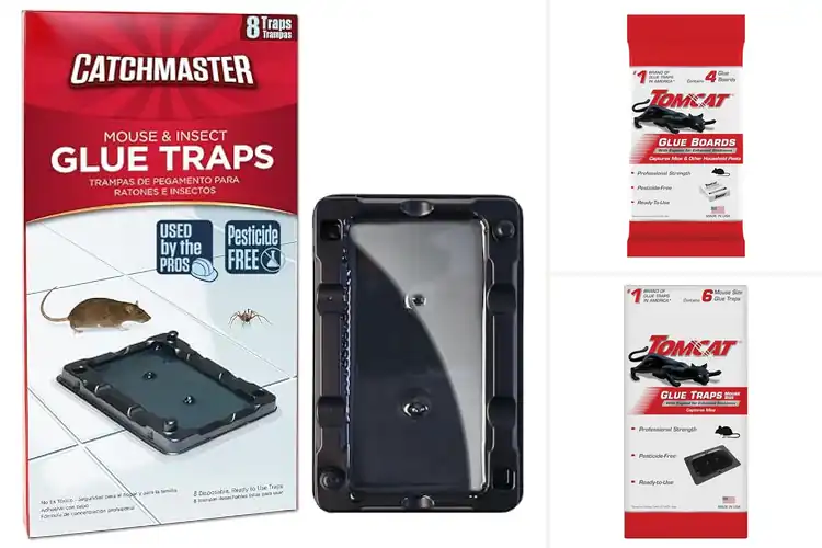 Detailed view of Best Pesticide-Free Mouse Traps
