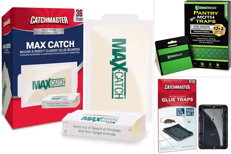 Detailed view of Best Pesticide-Free Pest Traps
