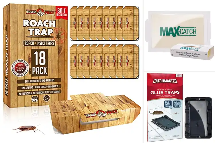 Detailed view of Best Pesticide-Free Traps For Pests
