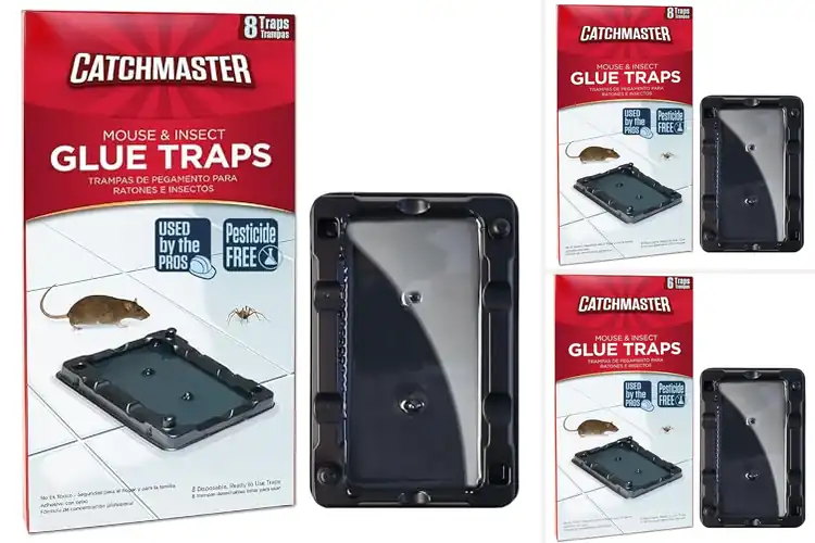 Detailed view of Best Pesticide-Free Traps