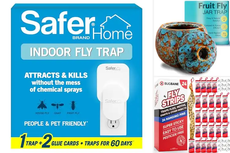 Detailed view of Best Pet-Friendly Fly Traps: Keep Pests Away Safely