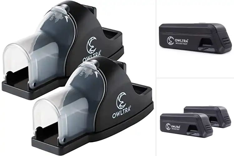 Detailed view of Best Pet Safe Mouse Traps : Rodent-Free & Pet-Friendly