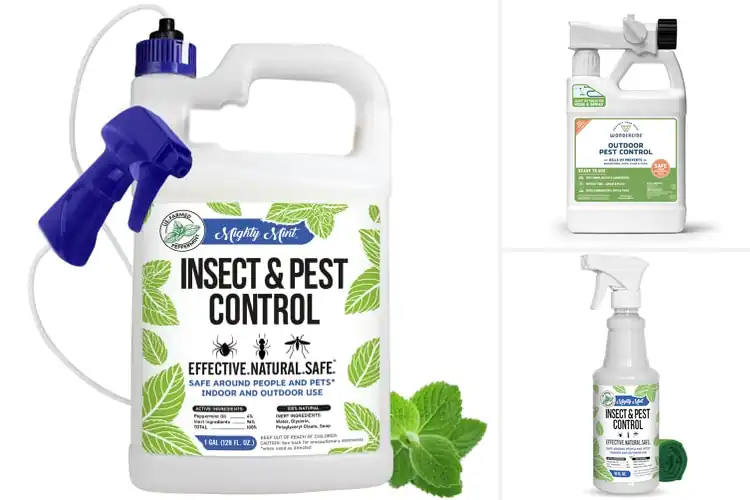 Detailed view of Best Pet Safe Pest Controls for a Calm, Pest‑Free Home