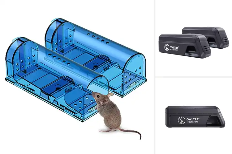 Detailed view of Best Pet Safe Rodent Traps