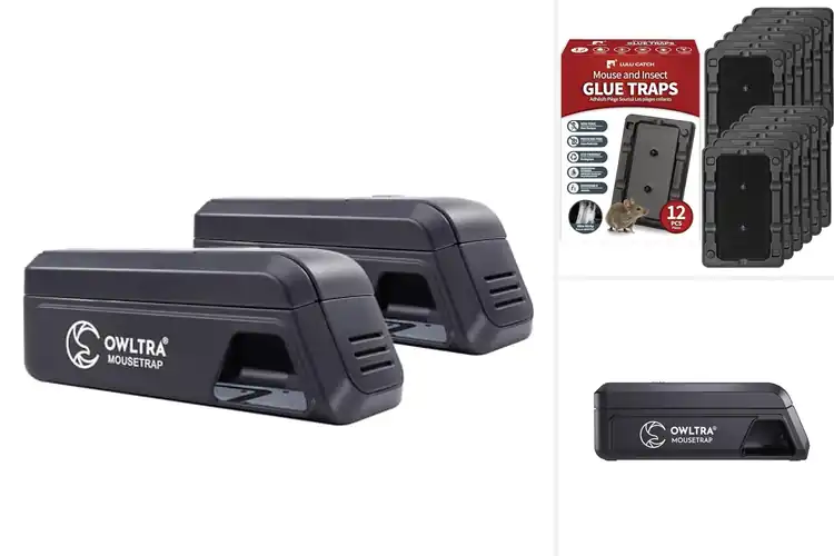 Detailed view of Best Pet Safe Traps: Humane Solutions for Pest Control