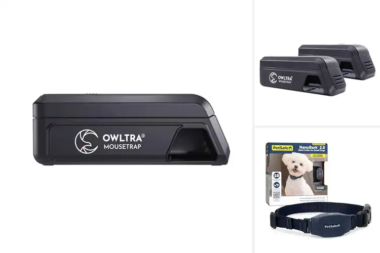 Detailed view of Best Pet Safe Trigger : Pest Control That Cares