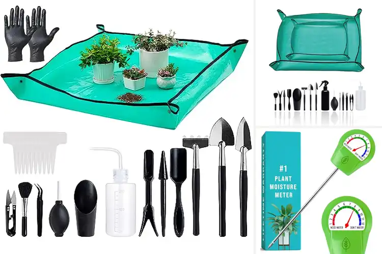 Detailed view of Best Plant Care Tools: 10 Essentials for a Thriving Garden