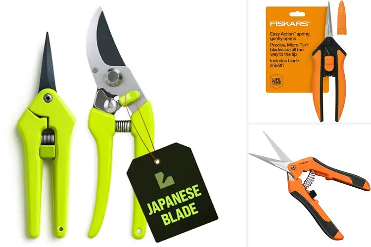 Detailed view of Best Plant Cutting Tools: Effortless Gardening Starts Here