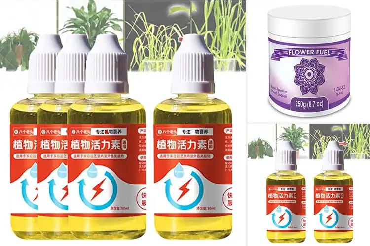 Detailed view of Best Plant Growth Enhancers